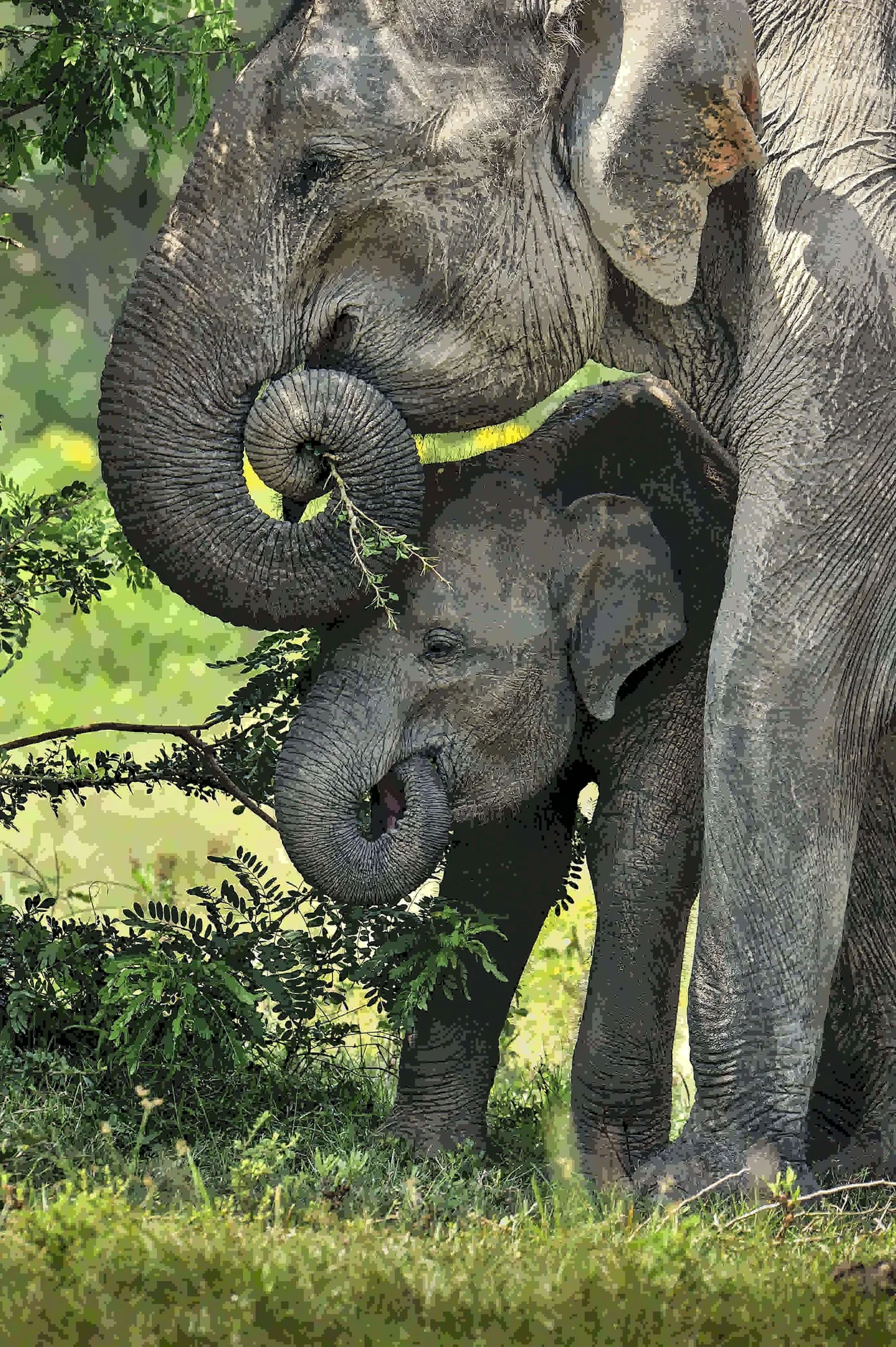Exotic Global Holidays special offers