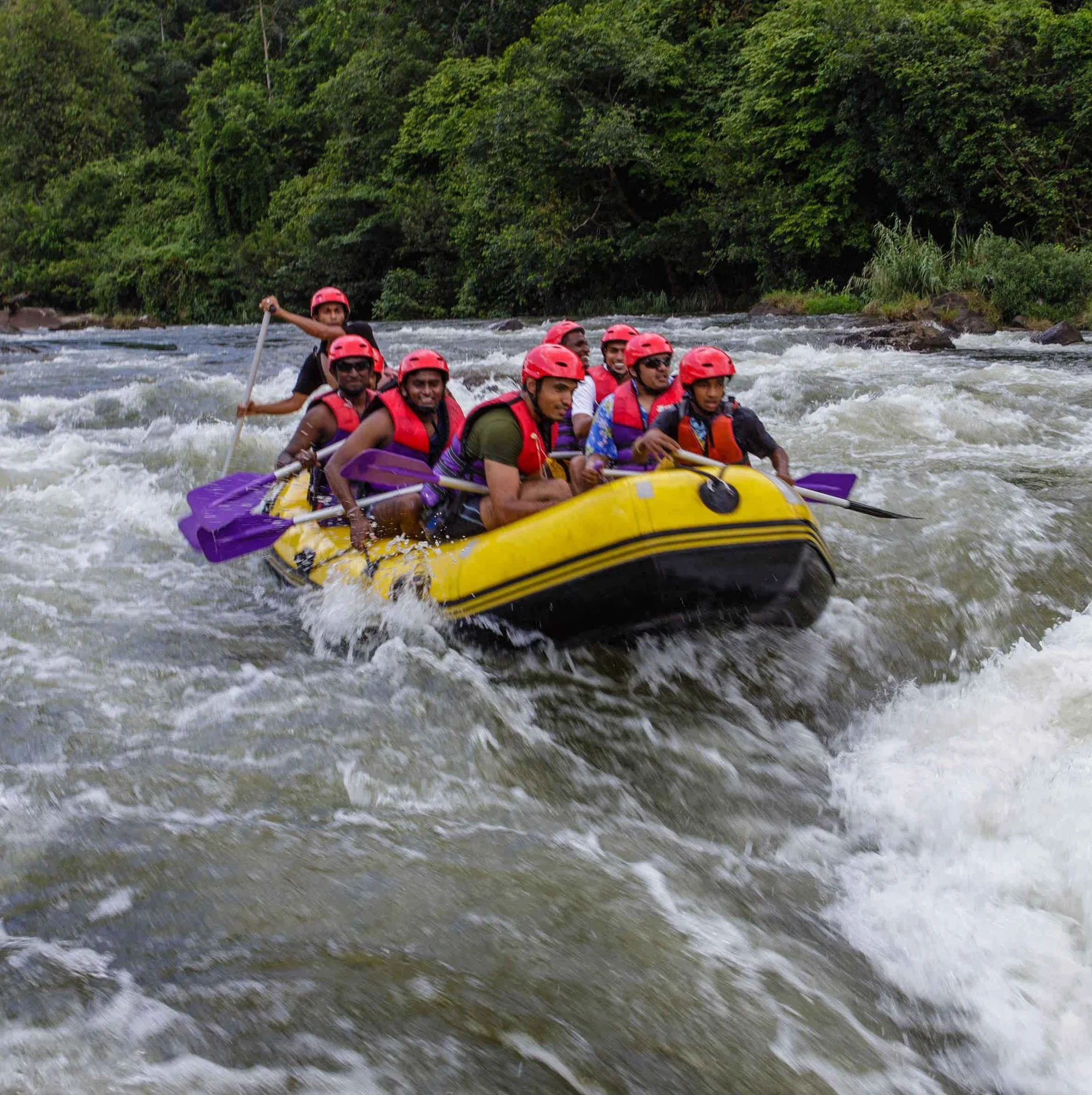 Activities and experiences in Sri Lanka