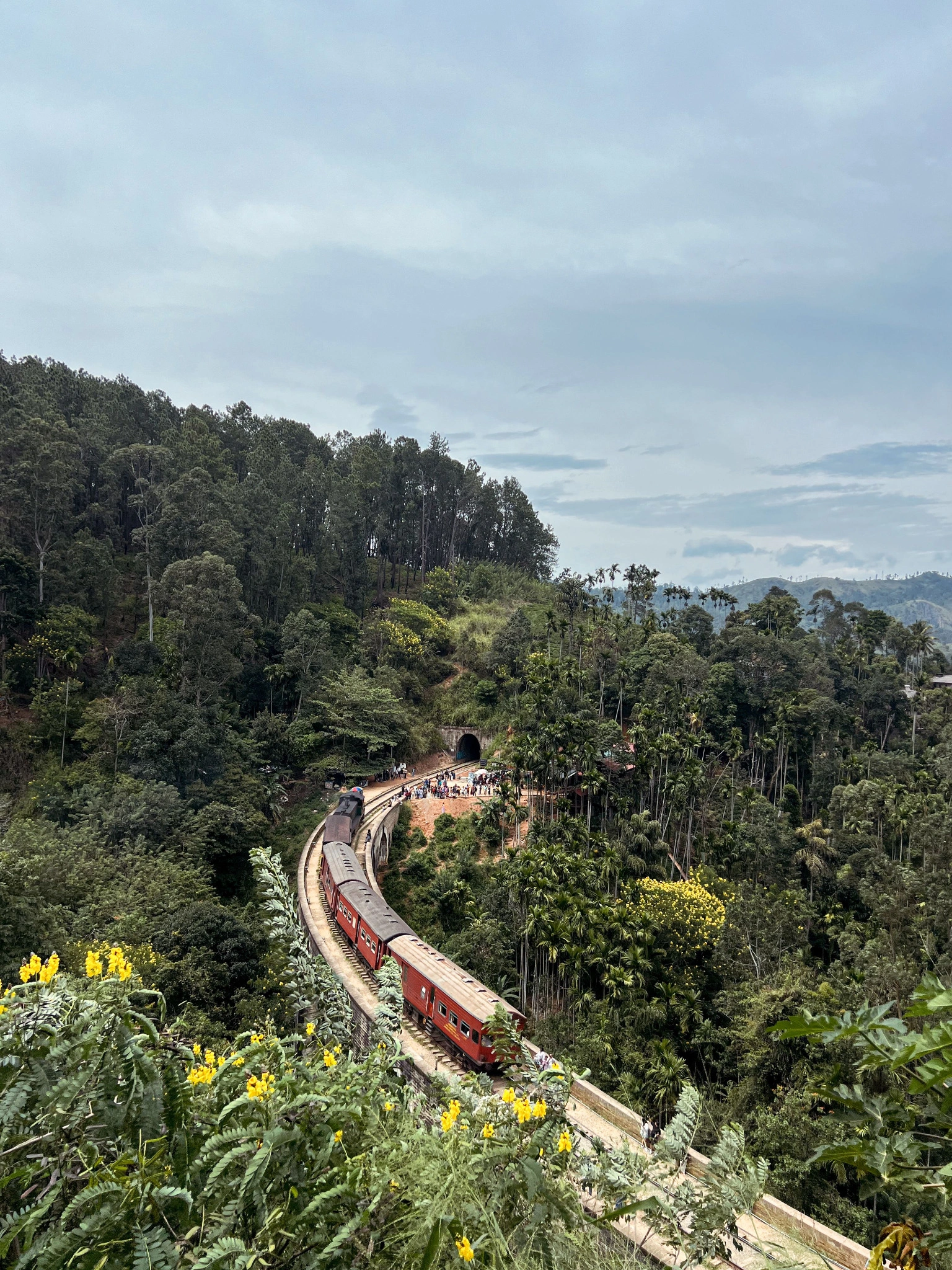 Train curving through the forested hills around Ella in Sri Lanka
